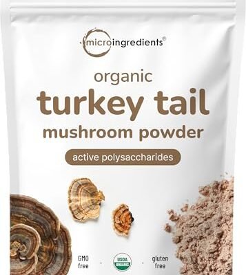 Sustainably US Grown, Organic Turkey Tail Mushroom Powder
