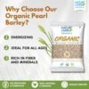 B081NDKWJ8-500 g (Pack of 5) Pearl Barley-002 Natureland Organics Barley Flour (Jau Atta) - Organic Stone-Ground Whole Grain