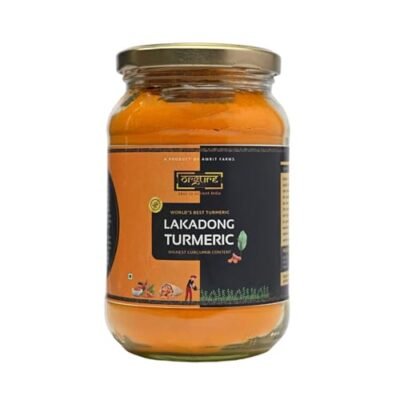 ORGURE Lakadong Turmeric Powder 500g