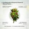 Miduty Supergreens 40+ Organic Superfoods