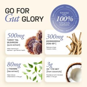B0D2DDC8PP-90 Count Turkey Tail Shroom Coffee-003 Ace Blend Turkey Tail Mushroom Coffee (15 Serves)