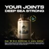 B0DNB4JFP1-60 count (Pack of 1)-003 Chamberofgods DeepSeaKing 100% Anchovies Omega 3 +