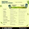 Urban Platter Japanese Culinary-Grade Matcha Green Tea Powder, 50g