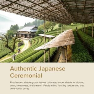VAHDAM Ceremonial Matcha – Finest Japanese Variety