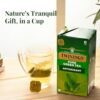 Twinings Pure Green Tea