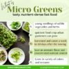 product-image-2 (7) FENUGREEK METHI MICROGREEN SEEDS | 100 Gms