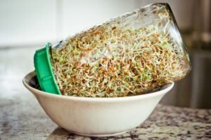 sk organic Microgreens Sprouting Mix